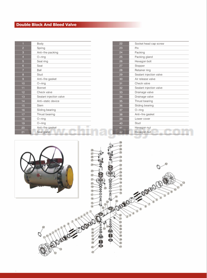 Double Block And Bleed Ball Valve (2)