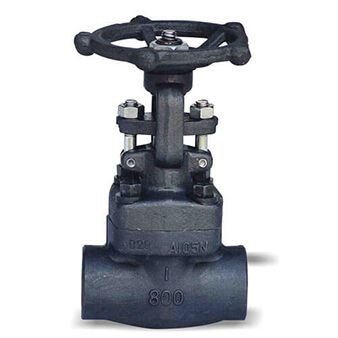 other valve