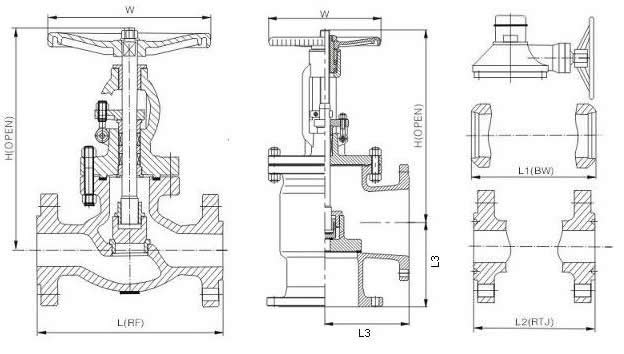 API WCB Globe Valve (2)