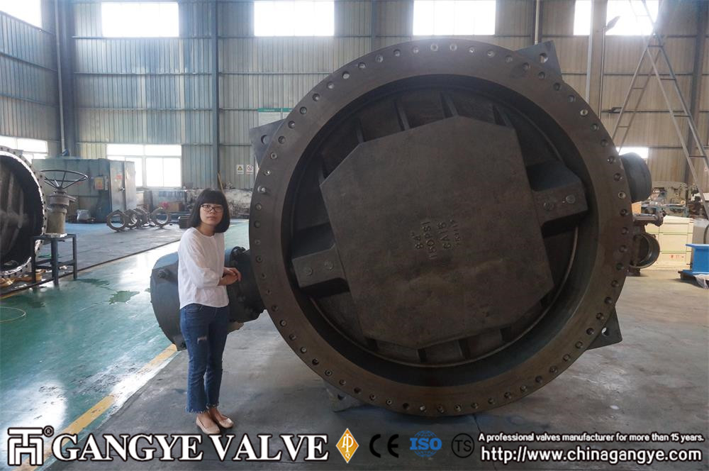 Double Eccentric Wafer Butterfly Valve