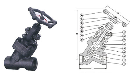 Y-Pattern Globe Valve-1