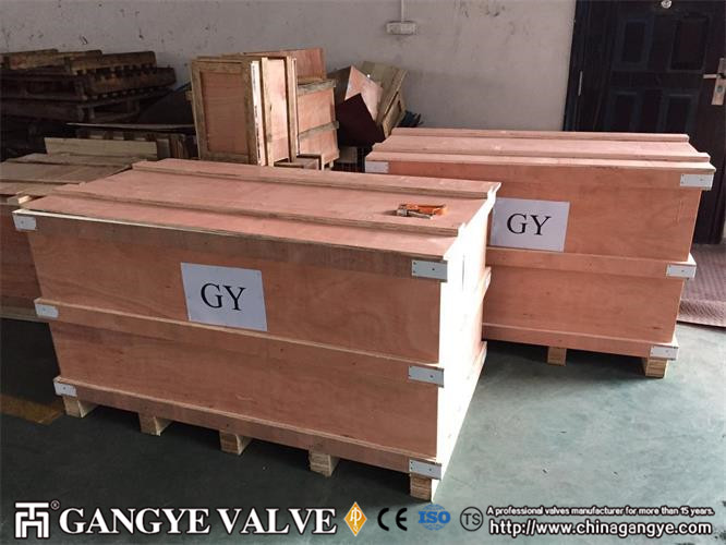 Forged Steel Wafer Rising Check Valve (4)