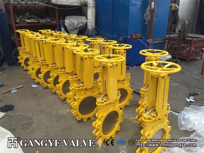 WCB Knife Gate Valve (1)