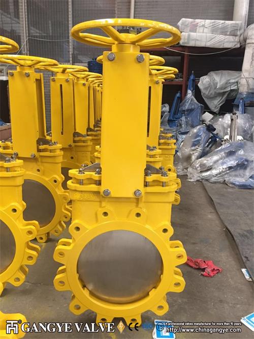 WCB Knife Gate Valve (2)