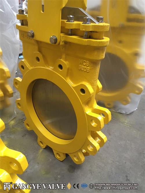 WCB Knife Gate Valve (5)