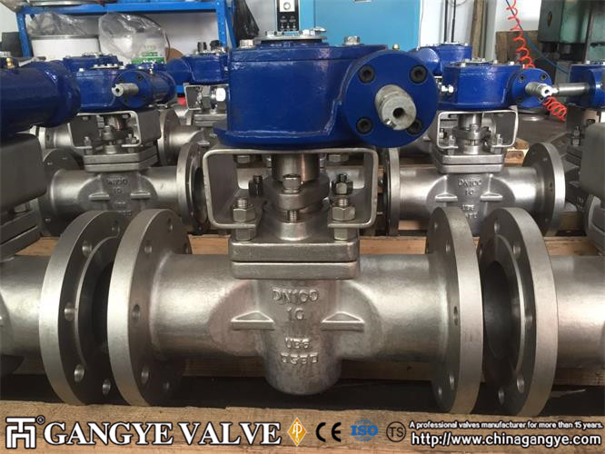 DIN standard plug valves, 904L material (10)