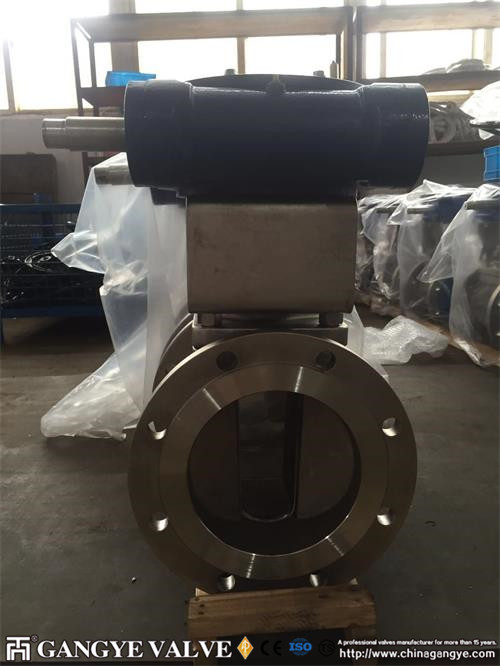 DIN standard plug valves, 904L material (3)