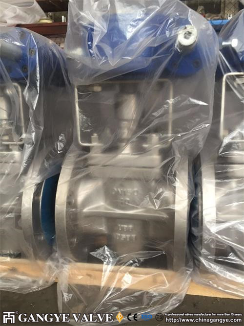 DIN standard plug valves, 904L material (4)