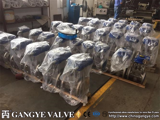 DIN standard plug valves, 904L material (5)