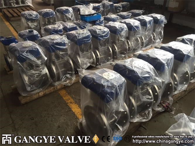 DIN standard plug valves, 904L material (6)