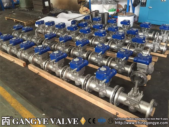 DIN standard plug valves, 904L material (8)