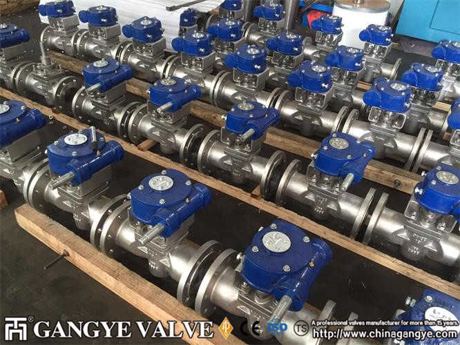 DIN standard plug valves, 904L material (9)