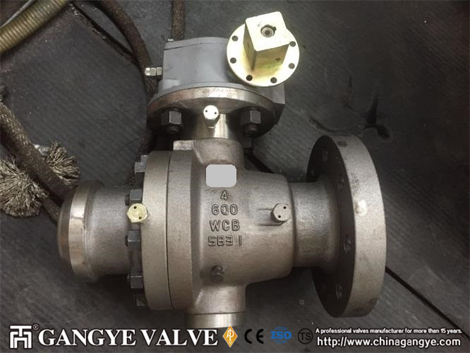 API Carbon Steel Ball Valve RFBW (3)