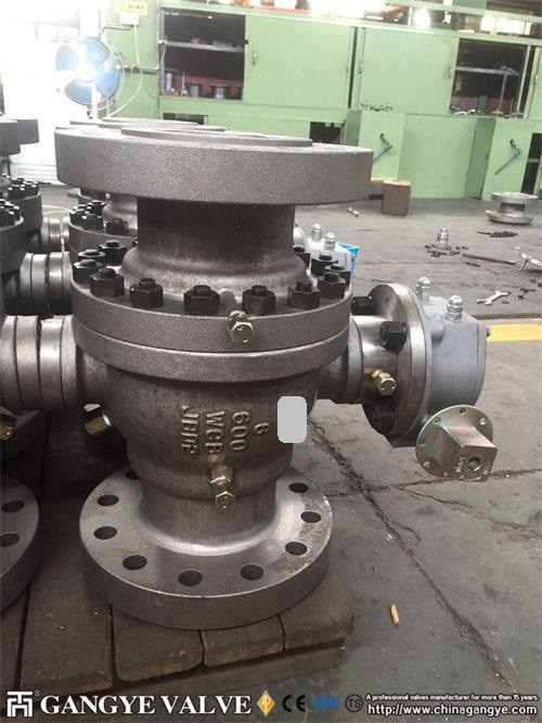 API Carbon Steel Ball Valve RFBW (8)