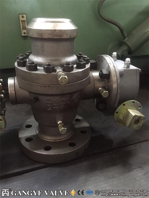 API Carbon Steel Ball Valve RFBW (9)