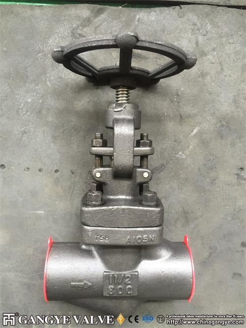 Forged Steel Check Valve、Forged Steel Gate Valve、Y strainer (1)