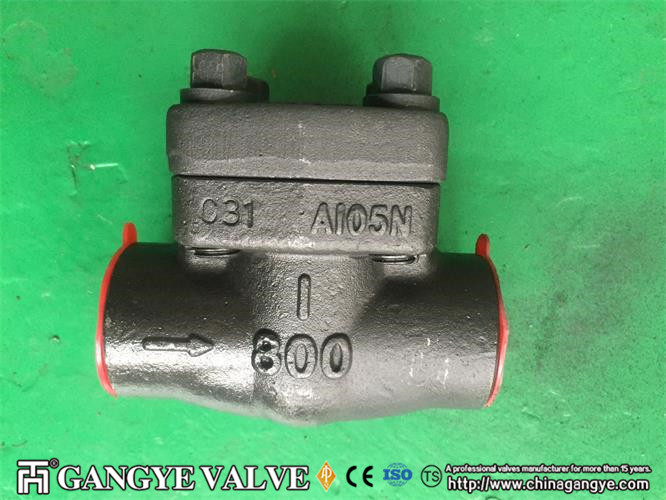 Forged Steel Check Valve、Forged Steel Gate Valve、Y strainer (2)