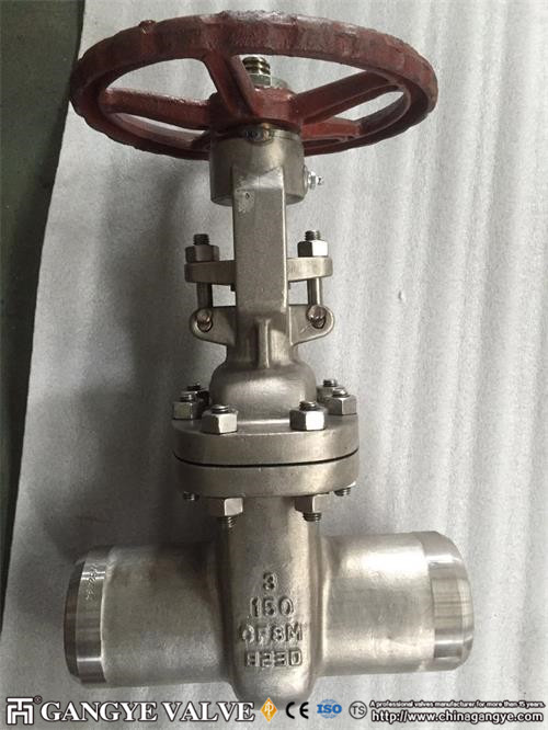 Stainless steel API Gate valve, CF8M/316SS