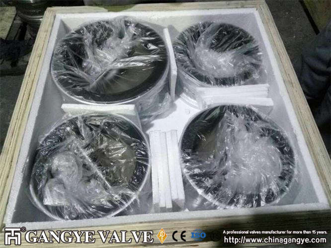 fully-rubber-lined-wafer-check-valve-5